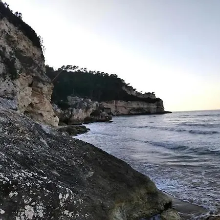 Flora Διαμέρισμα *