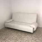 Flora