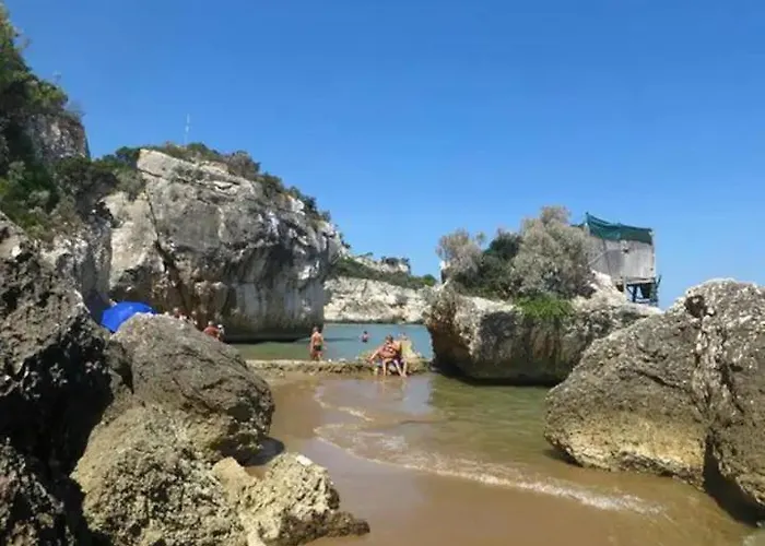 아파트 Flora 페스키치